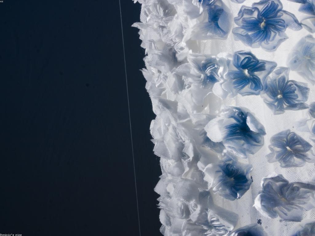 បញ្ហាស្ថាពរ និងបរិស្ថាន