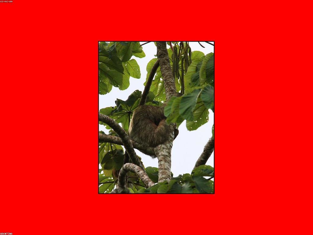 ការស្វែងរកកន្លែងលេងស្លុតលាក់ខ្លួននៅកម្ពុជា