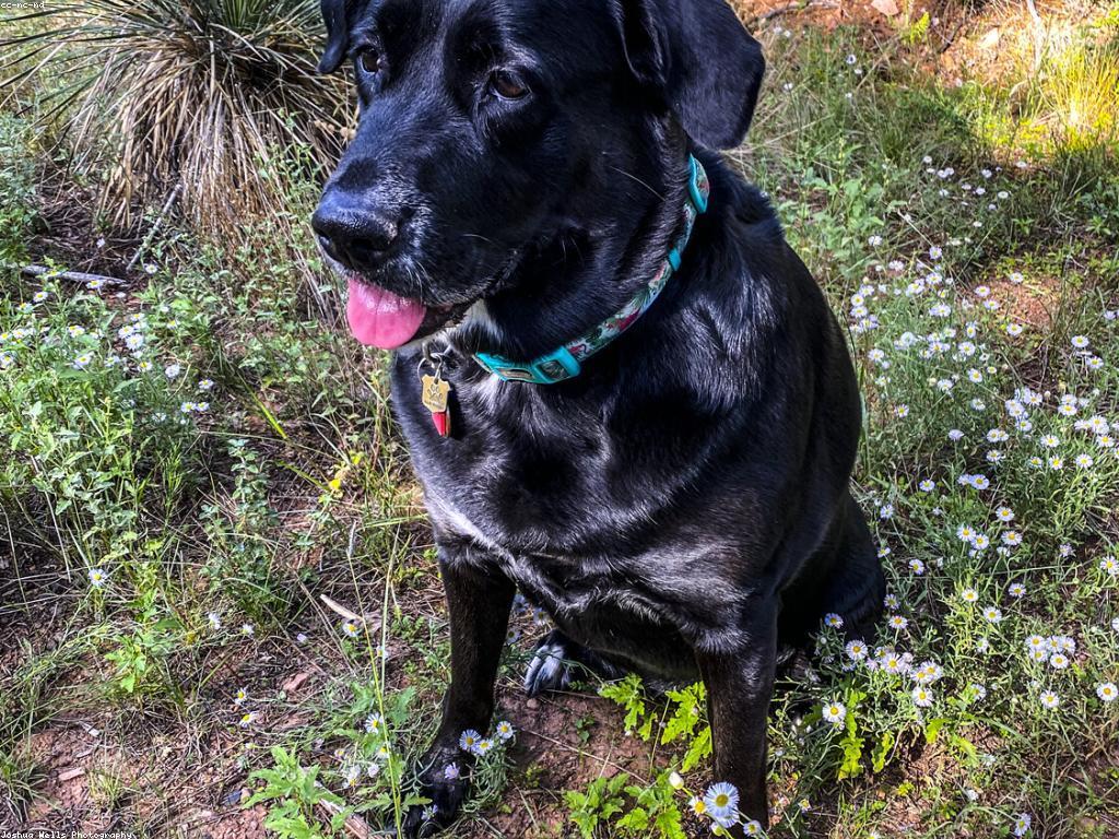 បញ្ហាស្ថាពរ និងបរិស្ថាន