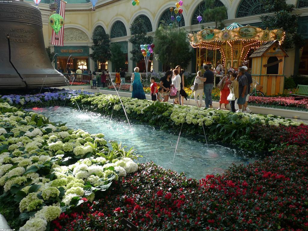 ការជ្រើសរើសល្បែងយុទ្ធសាស្ត្រ